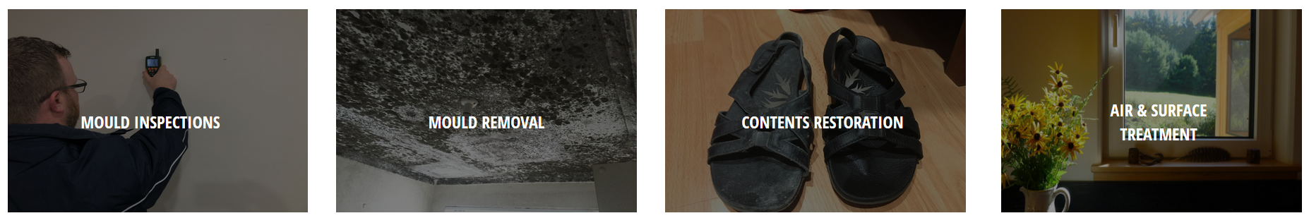 Mould Inspections, Removal and Property Restoration